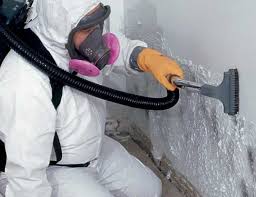 Best Asbestos and Lead Testing During Mold Inspection  in Rockwell, AR